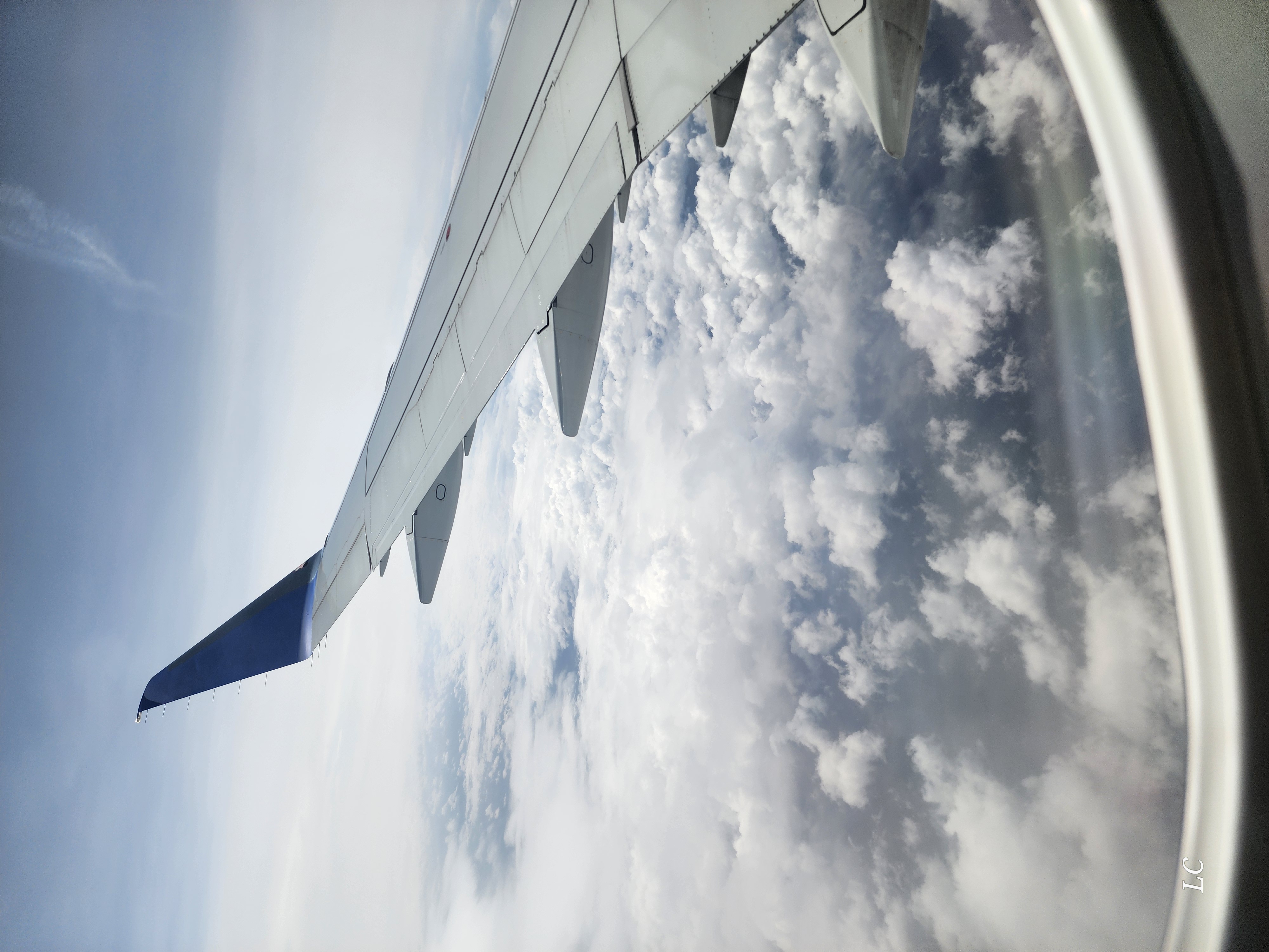 A perspective view of a plane winf from inside the plane